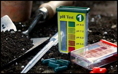 ph soil tester near me